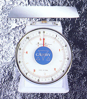 Dial Spring Scale
